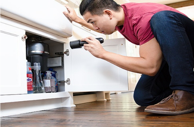 Thorough Inspection & Assessment