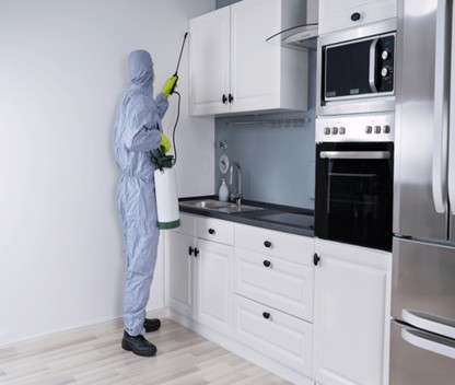 Cockroach Control Strategies at Eradicare