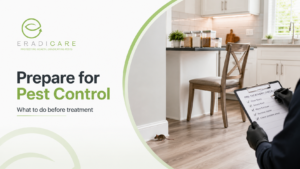 Read more about the article How to Prepare for Pest Control Treatment in Ottawa