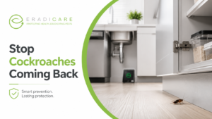 Read more about the article How to Prevent Cockroaches From Coming Back in Ottawa
