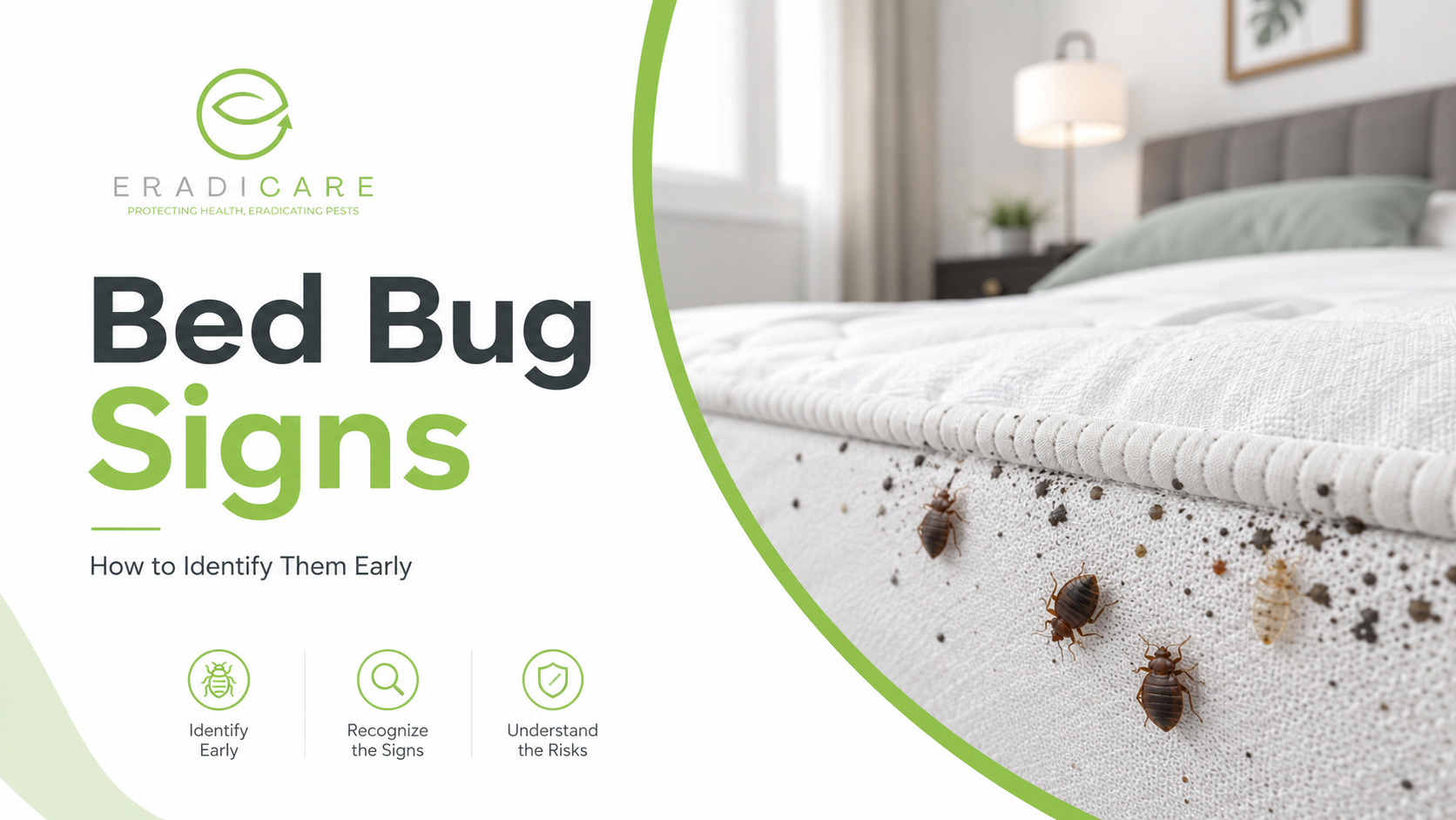 You are currently viewing Bed Bugs in Ottawa: Identification, Signs and Risks