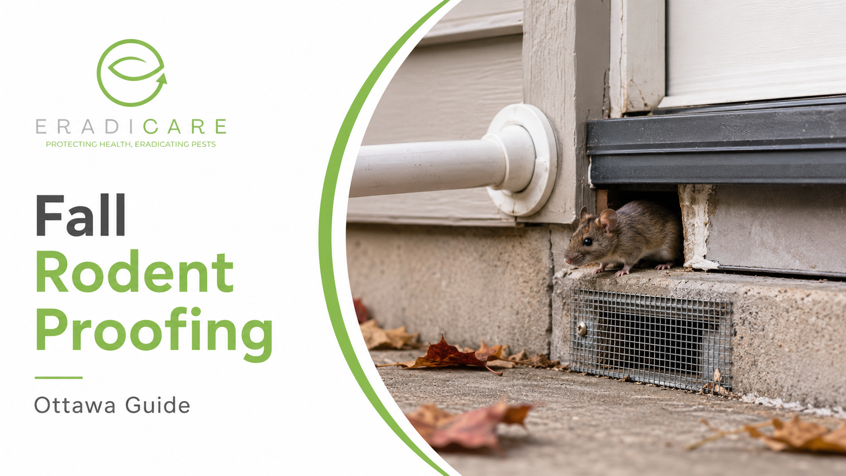 You are currently viewing Fall Rodent Proofing Ottawa: Complete Guide