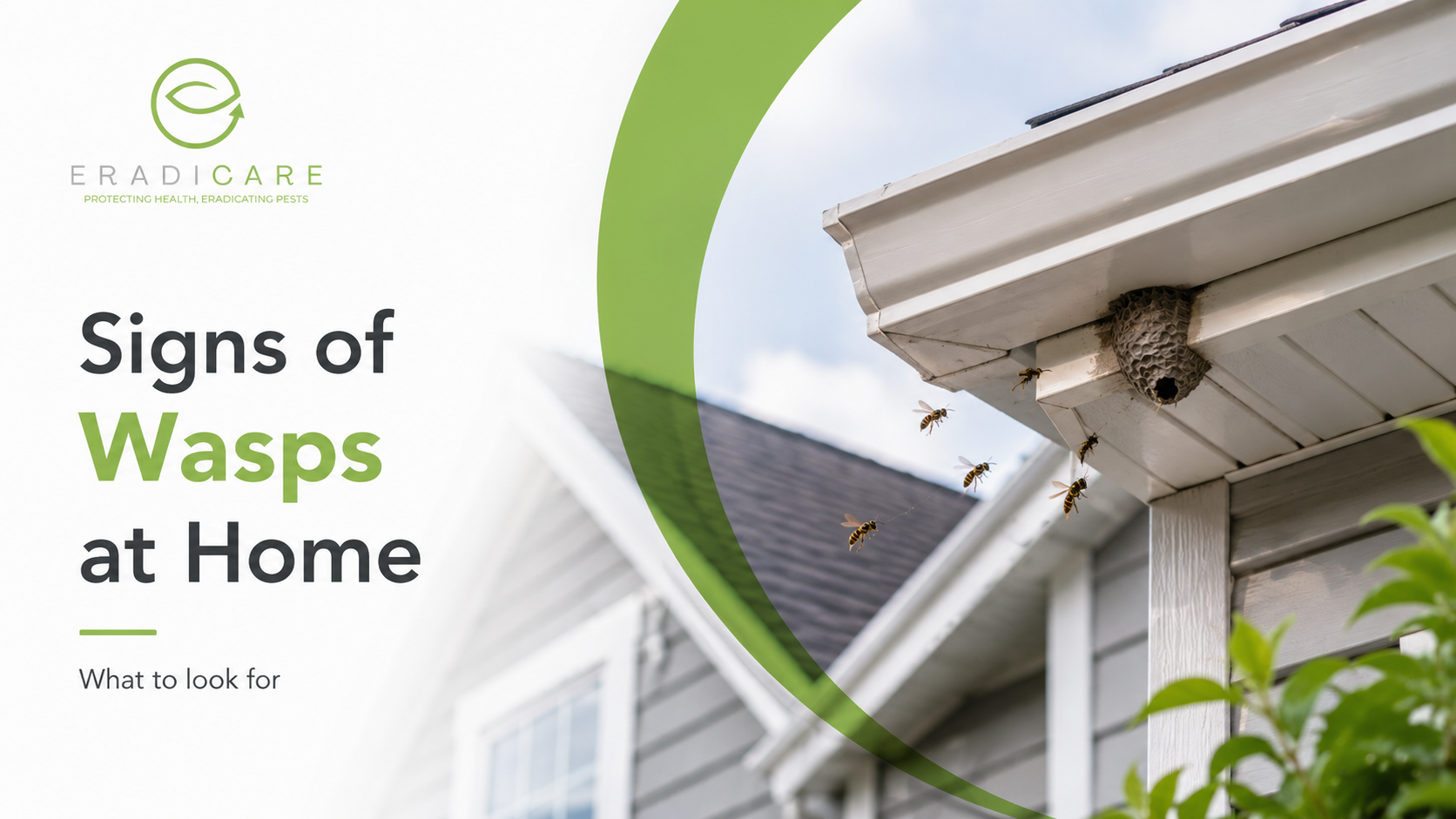 You are currently viewing Signs You Have Wasps in Your Ottawa Home