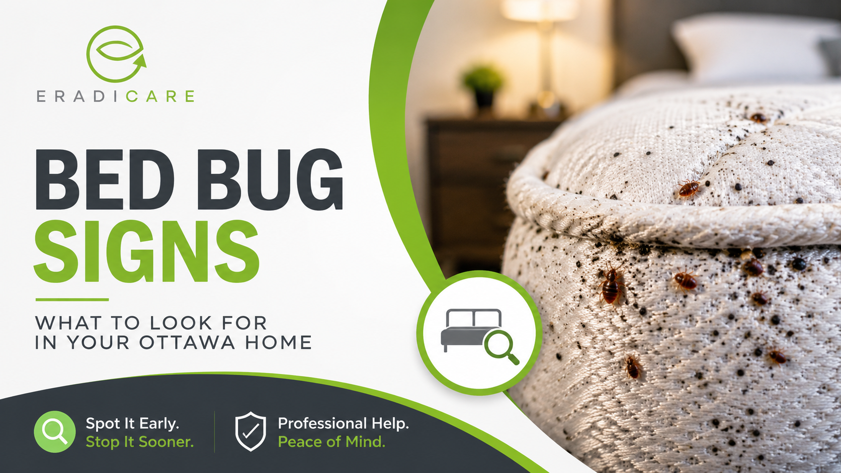 You are currently viewing Signs You Have Bed Bugs in Your Ottawa Home