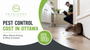 Read more about the article How Much Does Pest Control Cost in Ottawa?