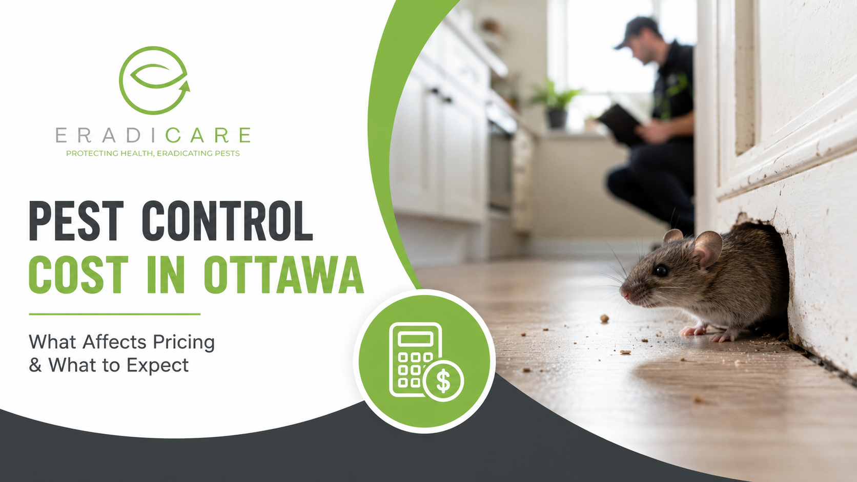 You are currently viewing How Much Does Pest Control Cost in Ottawa?