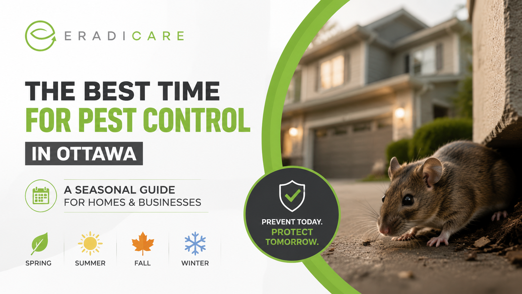 You are currently viewing Best Time for Pest Control Ottawa: Seasonal Guide for Homes and Businesses