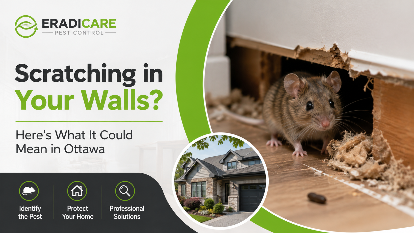 You are currently viewing Scratching or Cracking in Your Walls? Here’s What It Could Mean in Ottawa