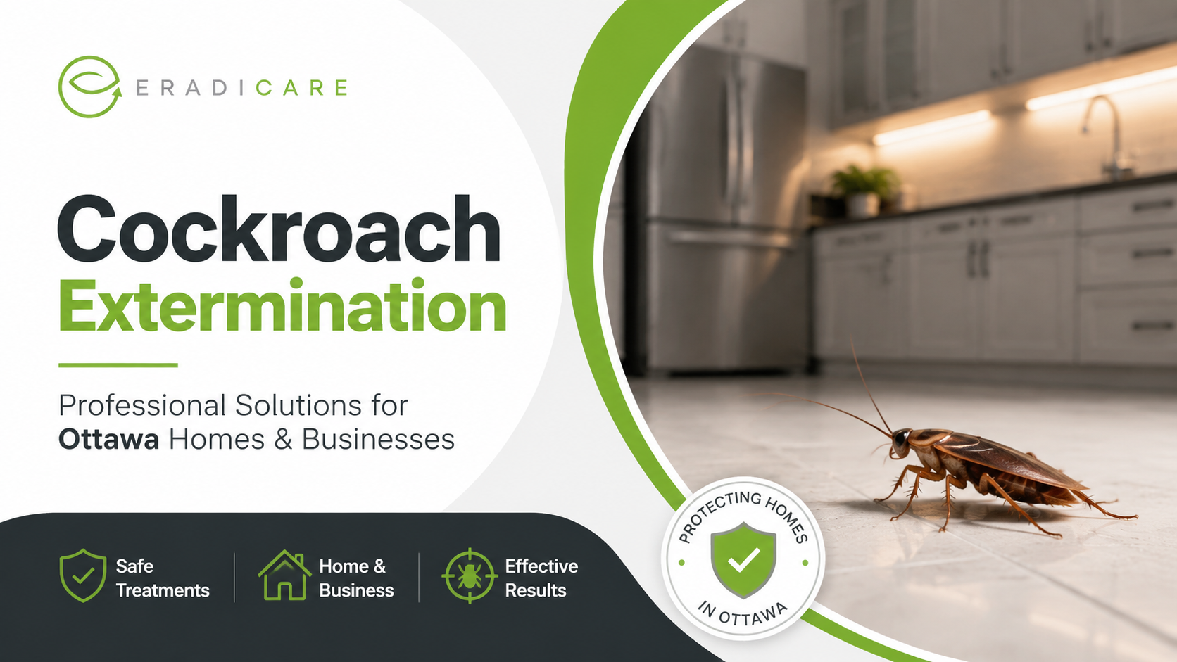 You are currently viewing Cockroach Extermination Ottawa: Complete Service Guide for Homes and Businesses